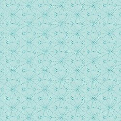 Small Sandy Urchin in Aqua