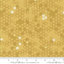 Honeycomb in Honey