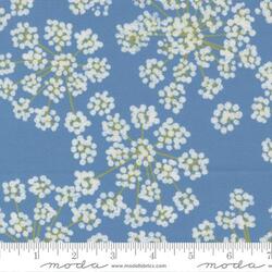 Fennel in Light Blue