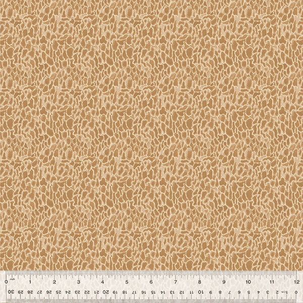 Morel in Tan