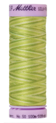 Little Spouts (9075-9817) - Silk Finish Cotton Multi 50wt - 109 Yards