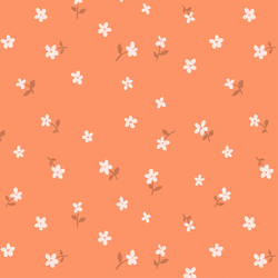 Daisy in Apricot