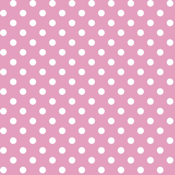 Candy Dot in Begonia