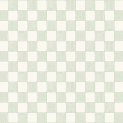 Textured Check in Cloud