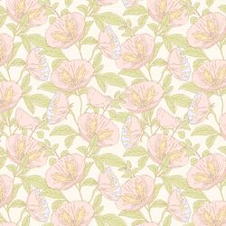 Summer Cosmos in Cream