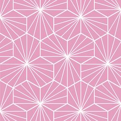 Radiate in Begonia