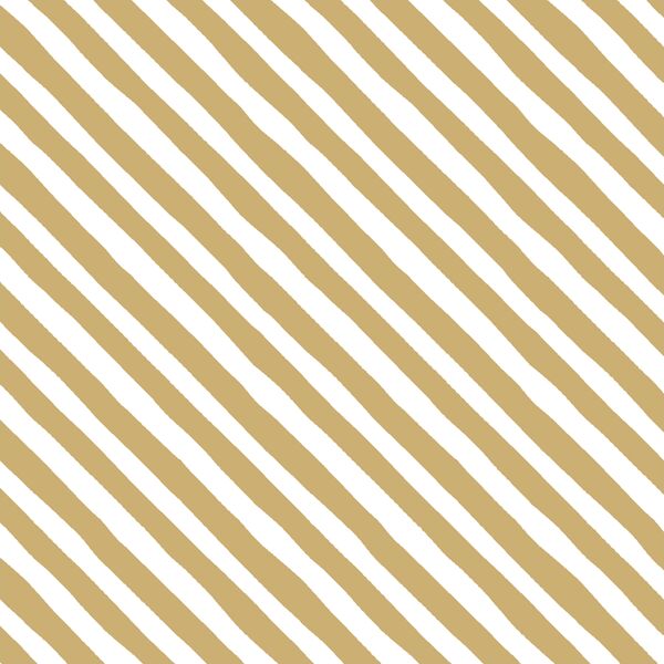 Rogue Stripe in Golden Canyon