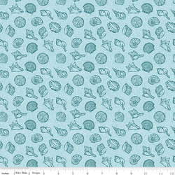 Shells in Sky