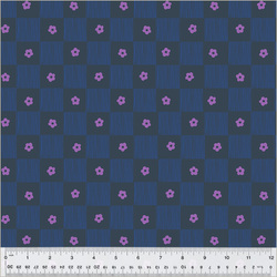 Footpath in Indigo
