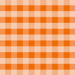 Spring Gingham in Poppy