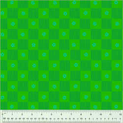 Footpath in Clover