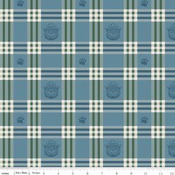 Plaid in Blue