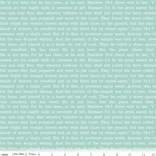 Bible Verse Text in Aqua