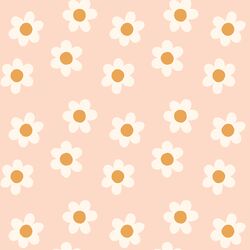 Daisy in Blush