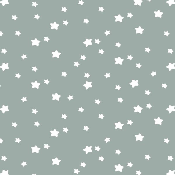Star Light in Eucalyptus