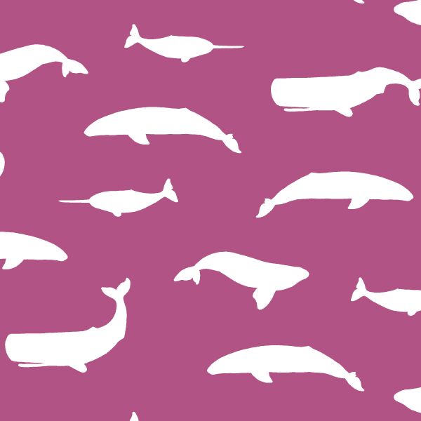 Whale Silhouette in Azalea