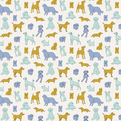 Little Dog Sketches in Sky
