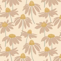 Coneflower in Sugar
