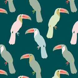 Toucans in Jungle