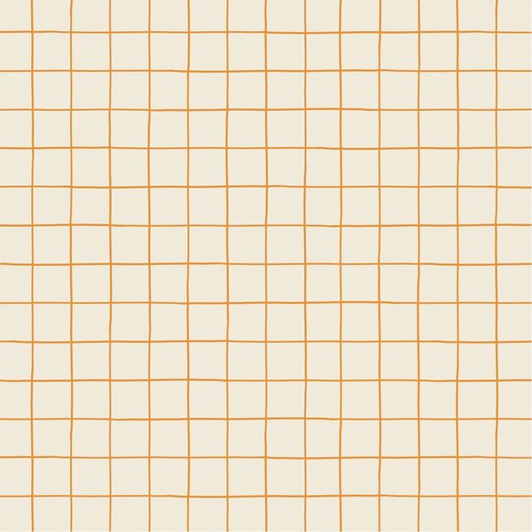 Haunted Check in Pumpkin Orange on Cream