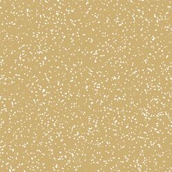 Stardust in Golden Canyon