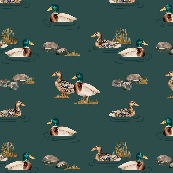 Waterfowl in Teal