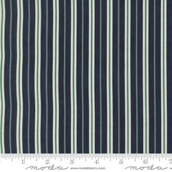 Coastal Stripe in Deep Sea
