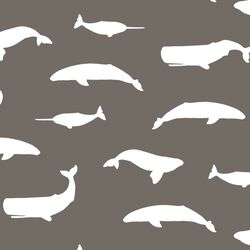 Whale Silhouette in Stone