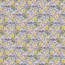 Little Daisy Garden in Evening