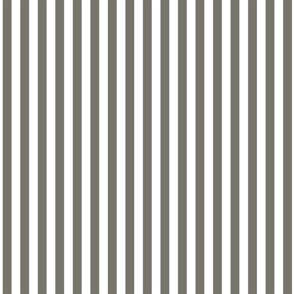 Dress Stripe in Greige