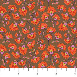 Groundcover in Orange