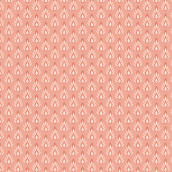 Geometry in Blush