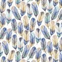Feathers in Palm Springs Oasis