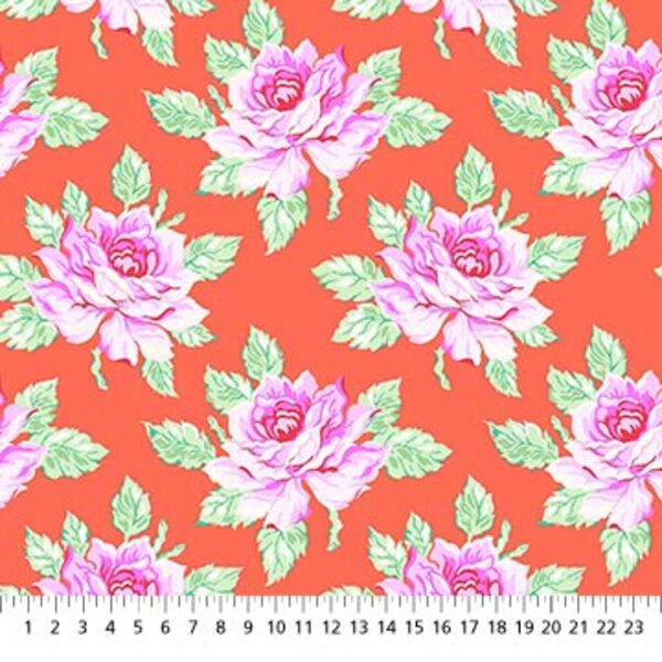 Hello Roses in Coral