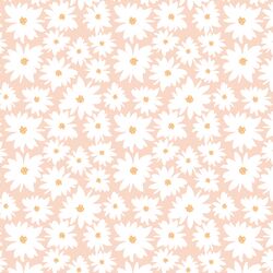 Farm Daisy in Peony