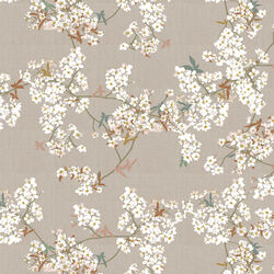 Skye Sakura in Sprout