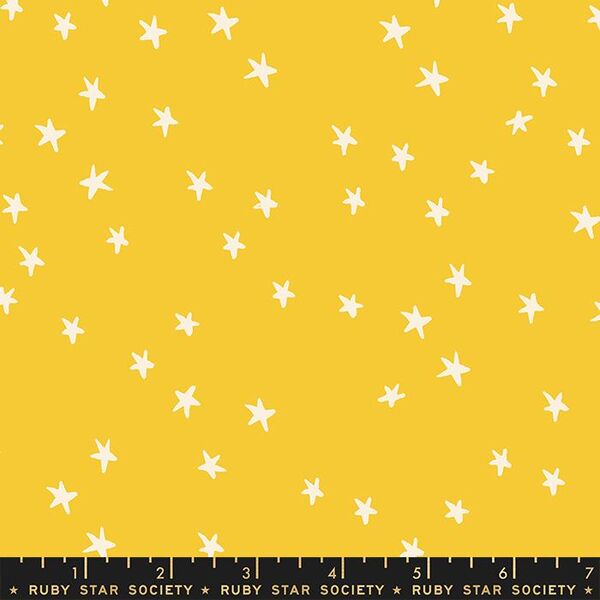 Starry in Sunshine
