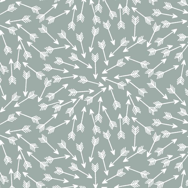 Arrows in Eucalyptus
