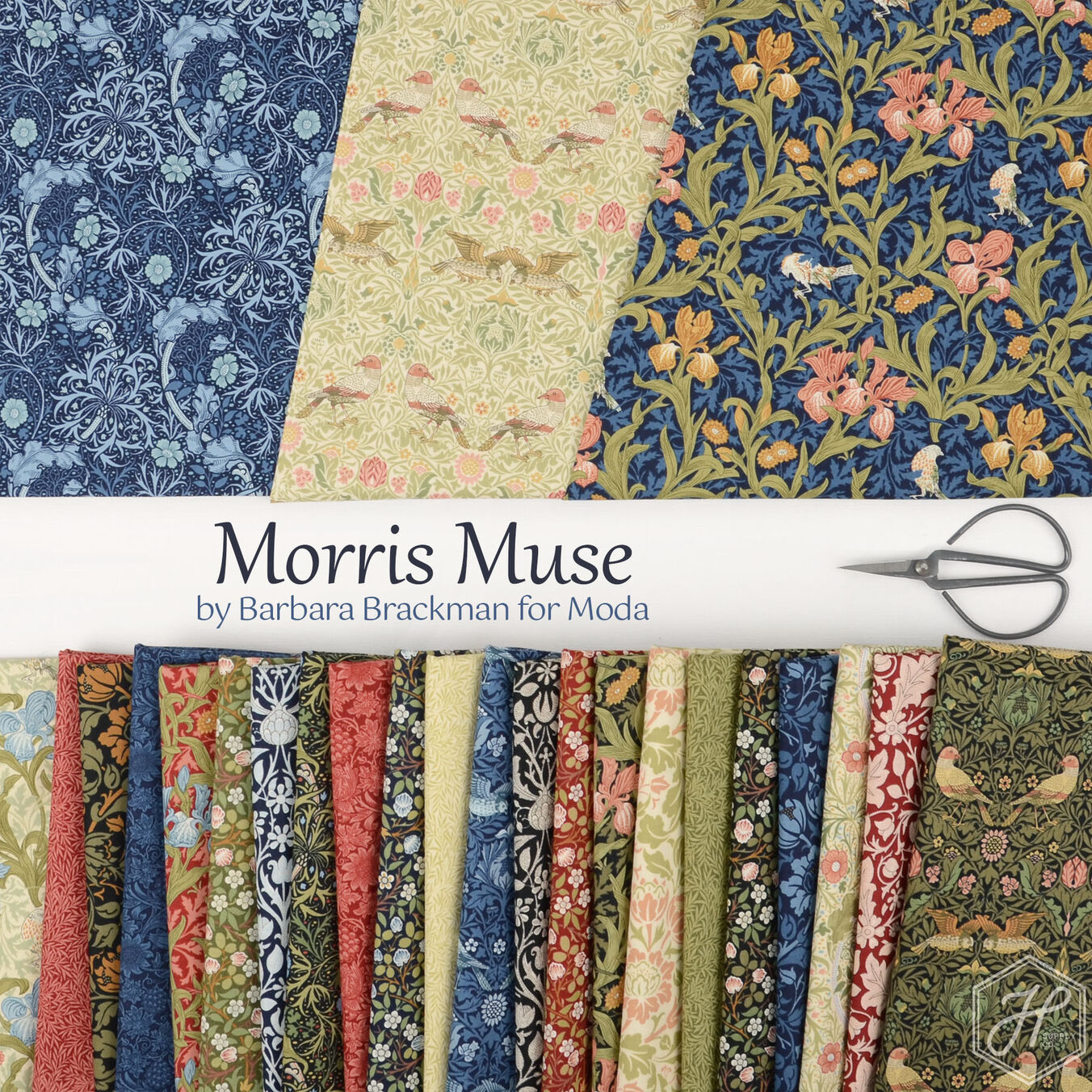 Morris Muse by Barbara Brackman | Hawthorne Supply Co