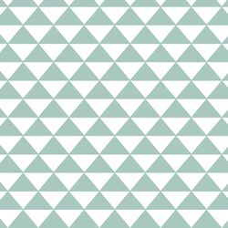 Triangle Mosaic in Aspen