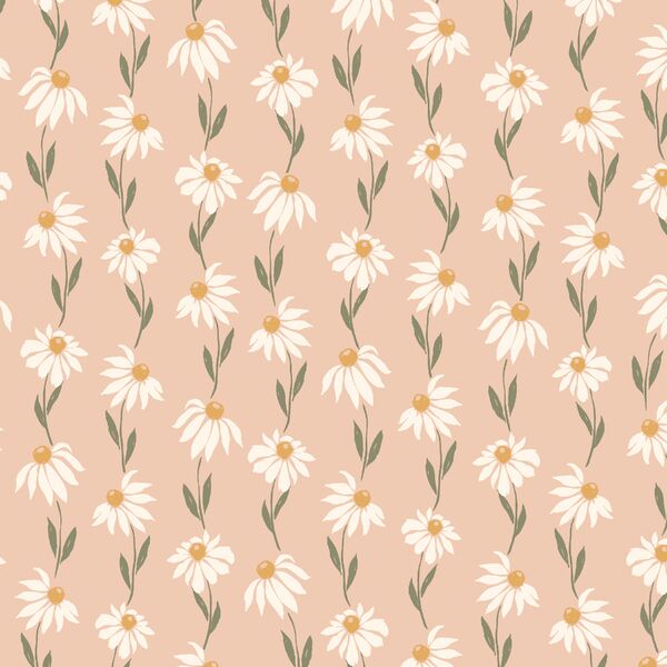 Valentine Daisy in Pretty Peach