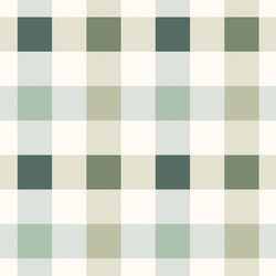 Large Irish Gingham in Lucky Day