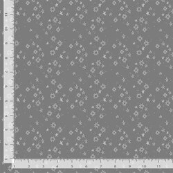 Quiltstellation in Paloma