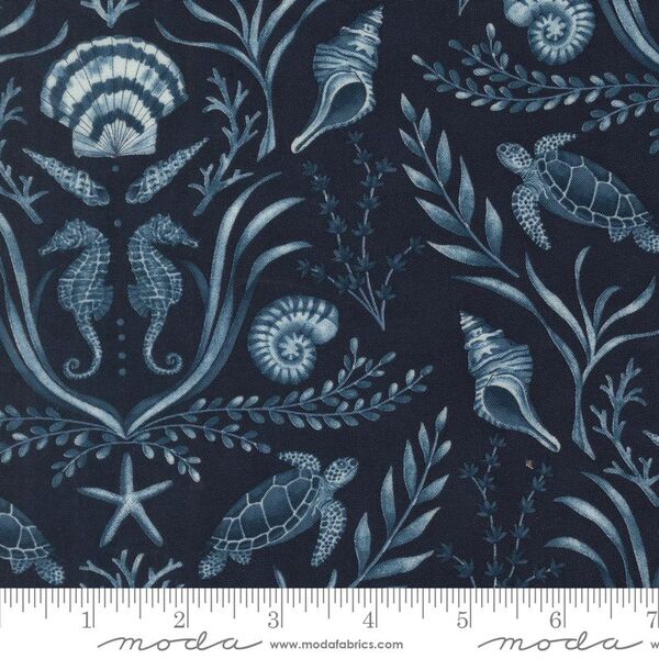Coastal Damask in Deep Sea