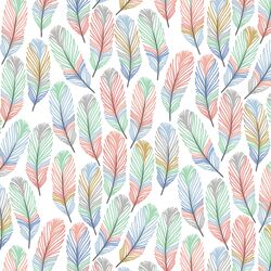 Feathers in Outer Banks