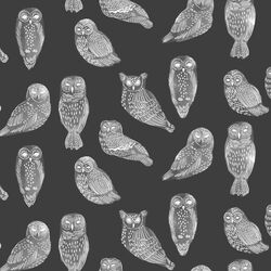 Snowy Owls in Onyx