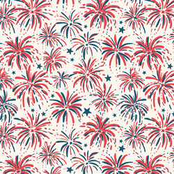 Fireworks in Celebration