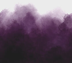 Mystic Ombre in Aubergine