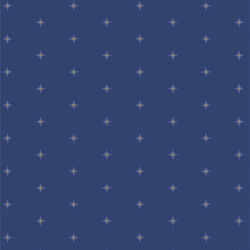 Shining in Stardusk
