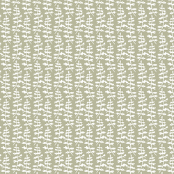 Fern in Sage